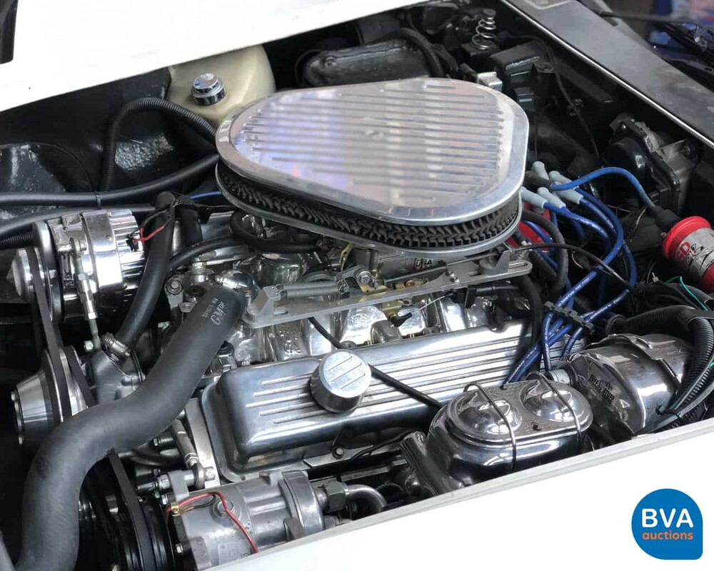 Chevrolet C3 - Greenwood - Daytona 1979.