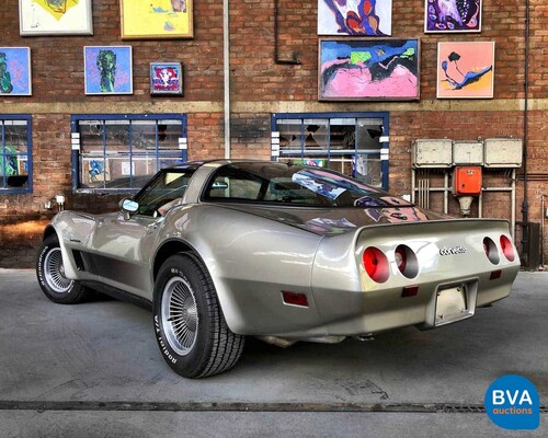 Chevrolet Corvette Stingray C3 Targa 1982 Collector Edition, RG-070-P