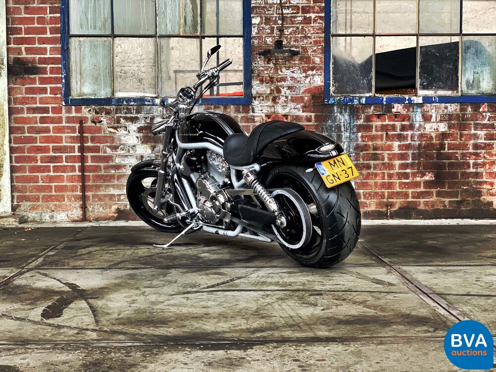 Harley Davidson Chopper VRSCA V-Rod 117hp 2003, MN-GN-37.