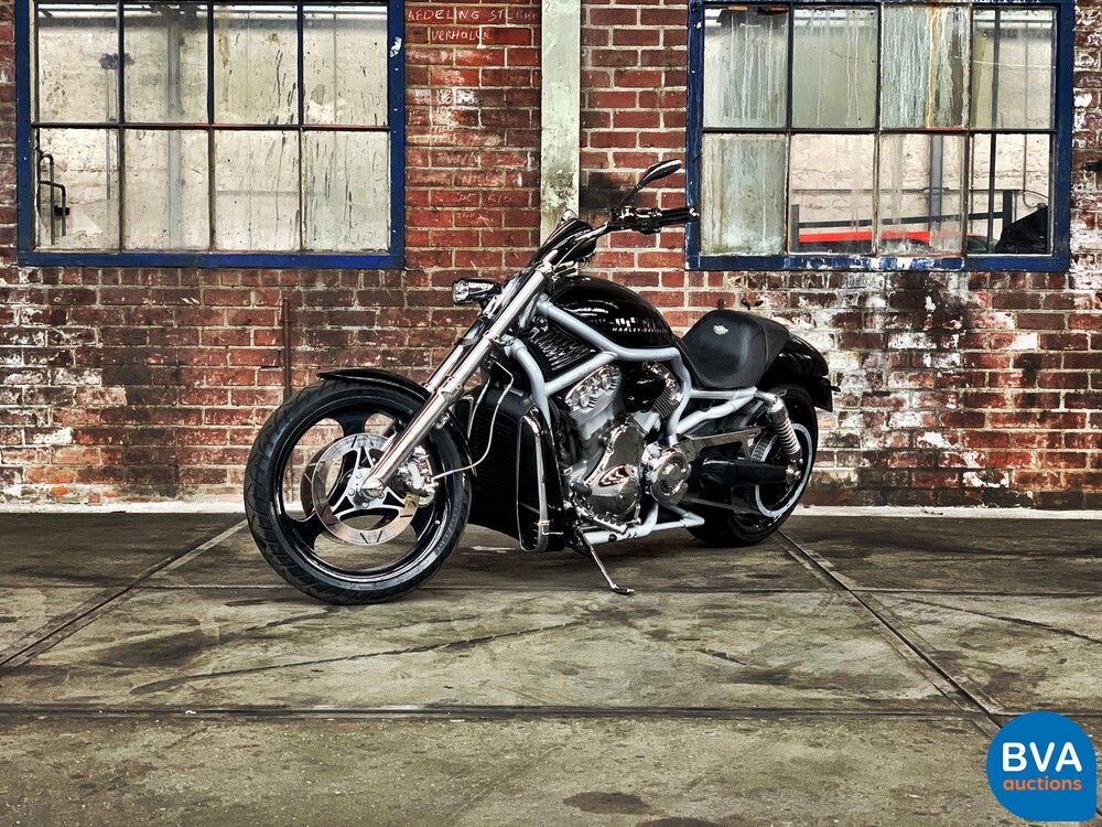 Harley Davidson Chopper VRSCA V-Rod 117hp 2003, MN-GN-37.
