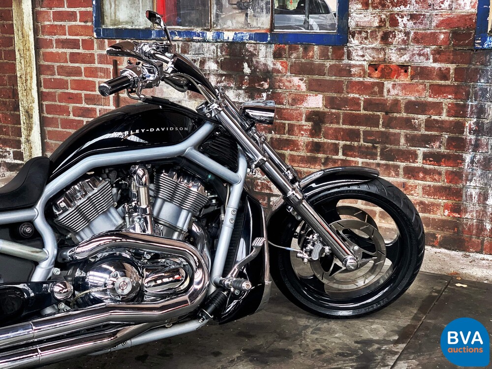 Harley Davidson Chopper VRSCA V-Rod 117hp 2003, MN-GN-37.