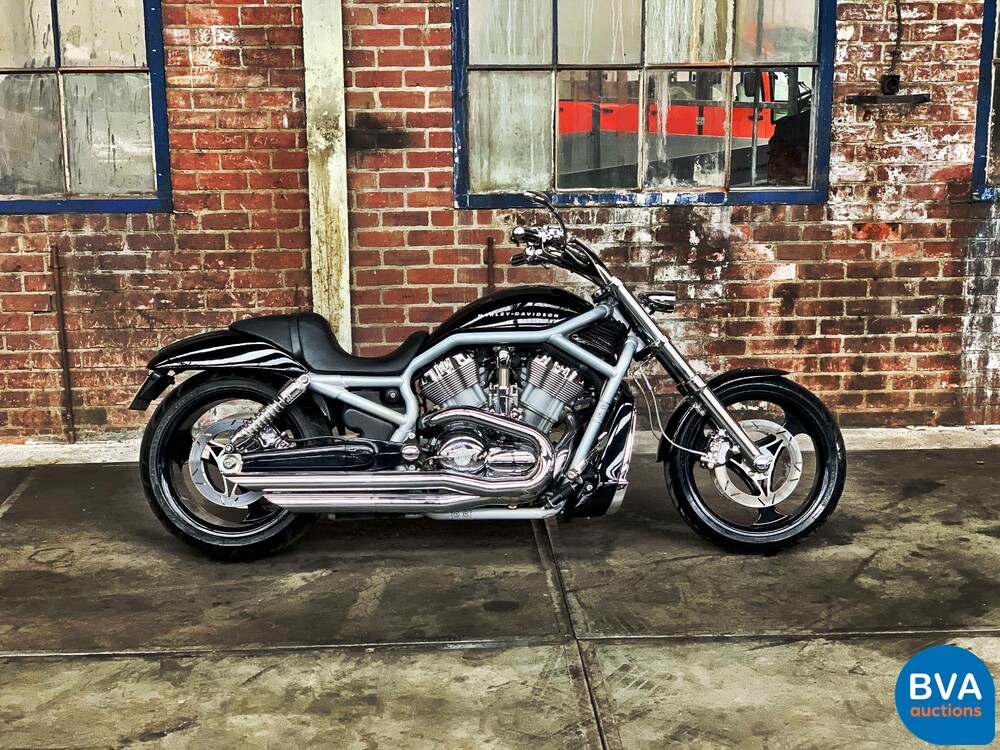 Harley Davidson Chopper VRSCA V-Rod 117 PS 2003, MN-GN-37.