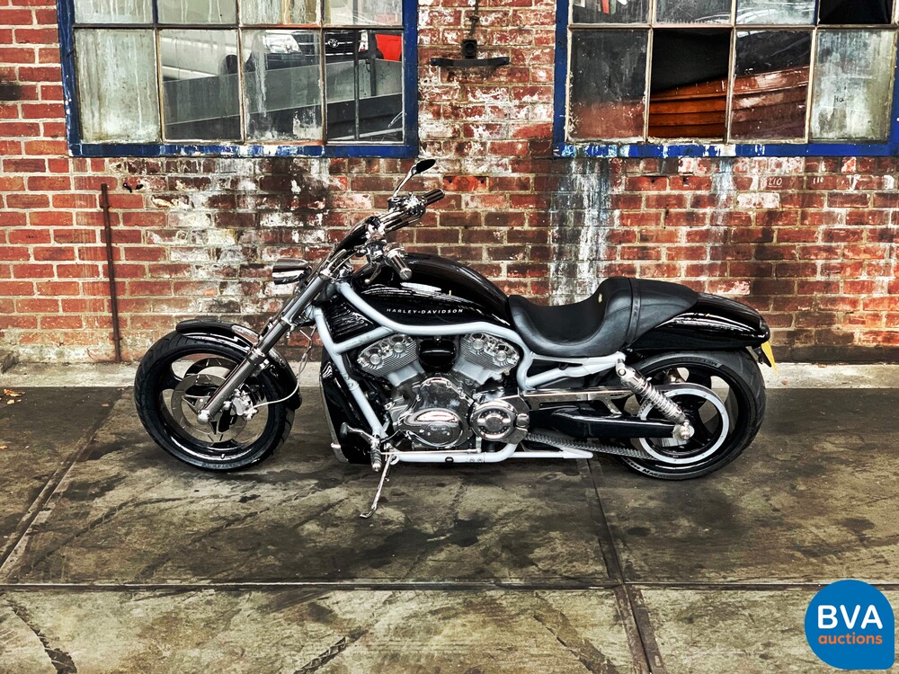 Harley Davidson Chopper VRSCA V-Rod 117 PS 2003, MN-GN-37.