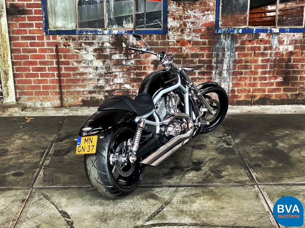 Harley Davidson Chopper VRSCA V-Rod 117 PS 2003, MN-GN-37.