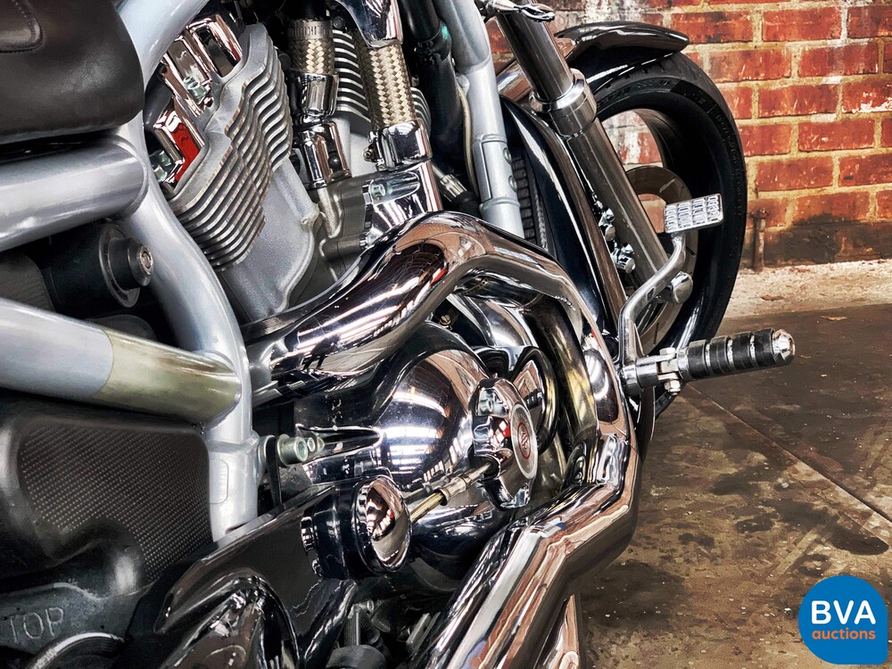 Harley Davidson Chopper VRSCA V-Rod 117 PS 2003, MN-GN-37.
