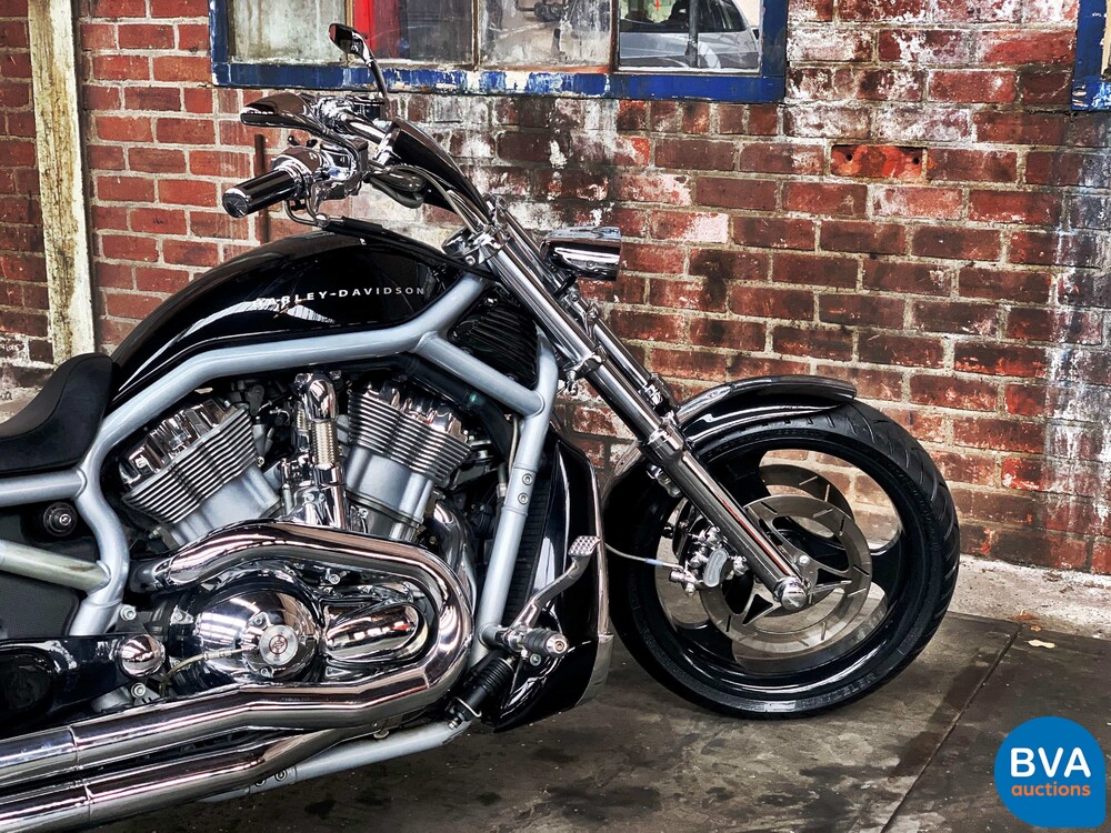 Harley Davidson Chopper VRSCA V-Rod 117 PS 2003, MN-GN-37.