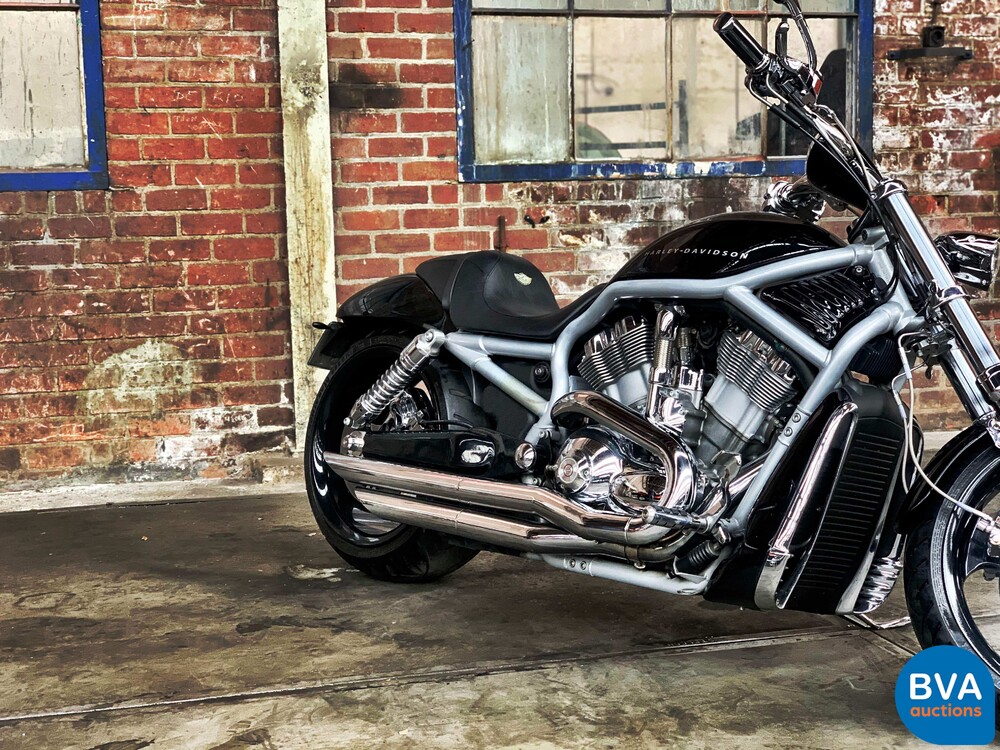 Harley Davidson Chopper VRSCA V-Rod 117 PS 2003, MN-GN-37.