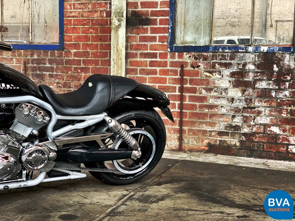 Harley Davidson Chopper VRSCA V-Rod 117 PS 2003, MN-GN-37.