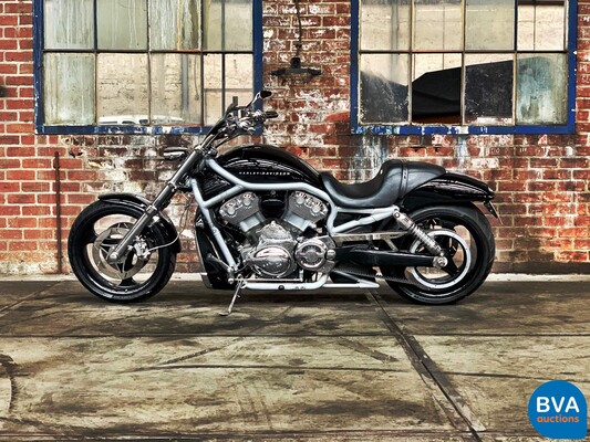 Harley Davidson Chopper VRSCA V-Rod 117hp 2003, MN-GN-37.