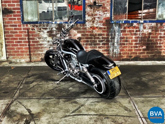 Harley Davidson Chopper VRSCA V-Rod 117hp 2003, MN-GN-37.