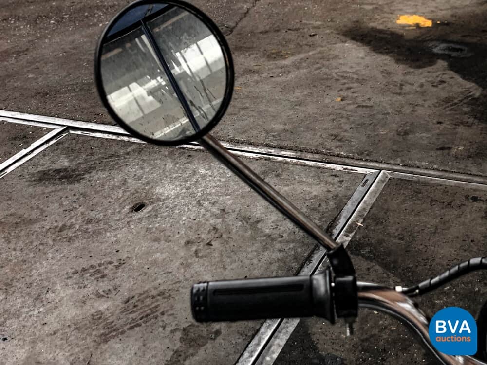 E-Roller Electric Scooter Special Edition.