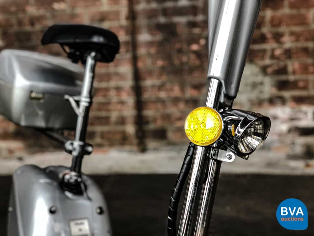 E-Roller Electric Scooter Special Edition.