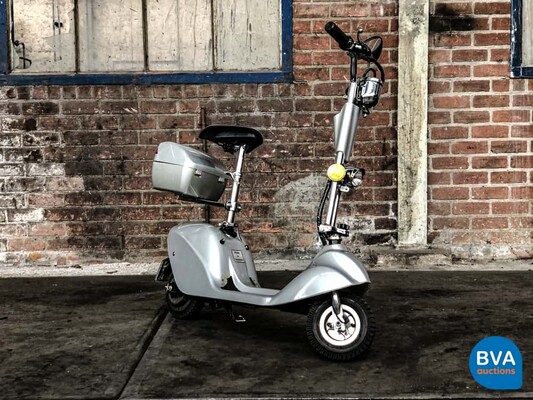 E-Roller Elektrische Step Scooter Special Edition