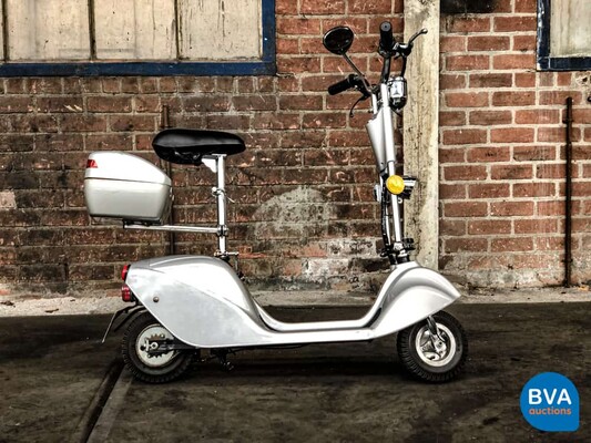 E-Roller Electric Scooter Special Edition.