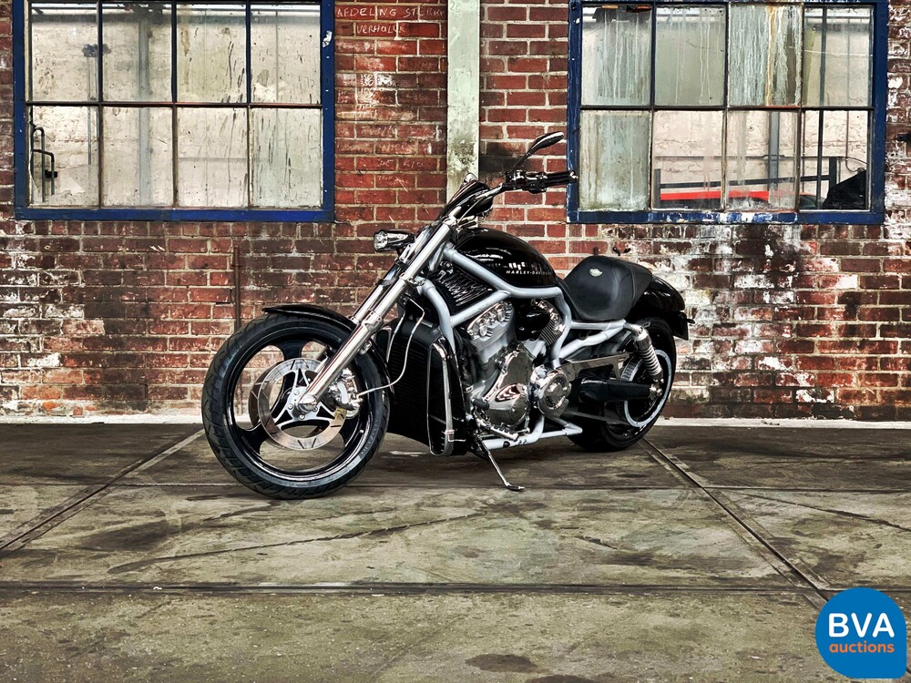 Harley Davidson Chopper VRSCA V-Rod 117hp 2003, MN-GN-37.