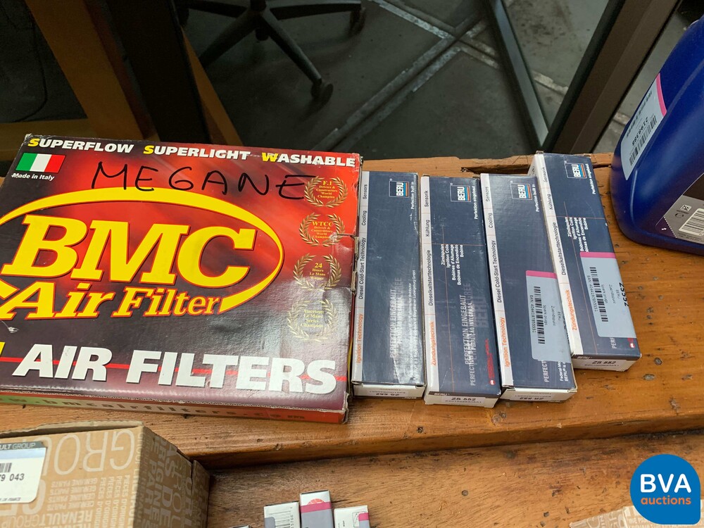 Renault Megane R26R F1 Team No.121/230 2.0-16V T 230hp 2009, L-163-GR.