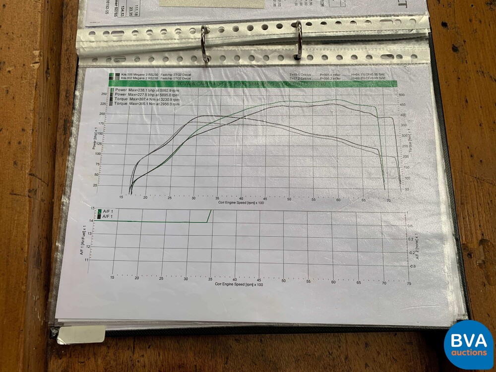 Renault Megane R26R F1 Team No.121/230 2.0-16V T 230hp 2009, L-163-GR.