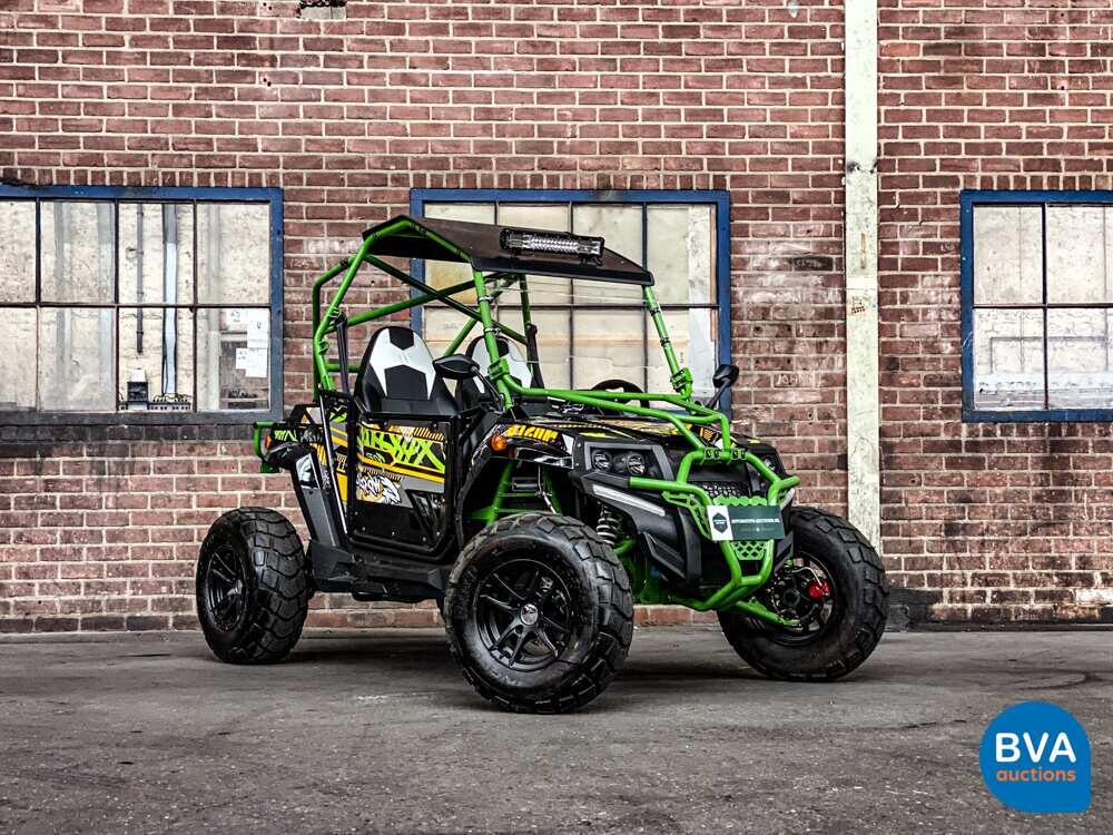 Sheng Wo New Energ FX400 Buggy 20pk 2020, H-108-VZ