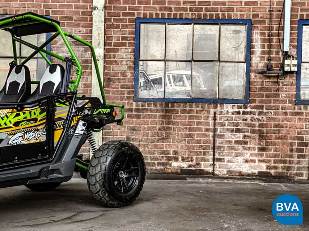 Sheng Wo New Energ FX400 Buggy 20PS 2020, H-108-VZ.