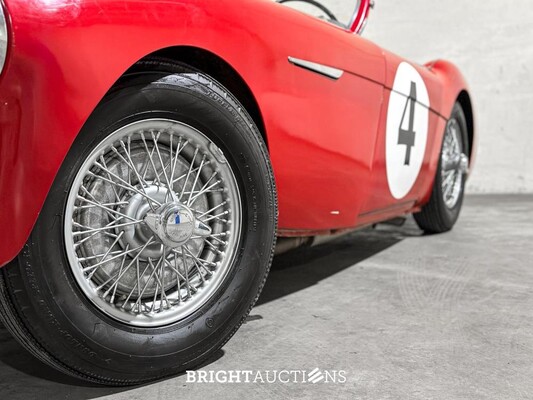 Austin-Healey 100 BN-1 Cabriolet LHD 90pk 1955 Oldtimer, DZ-53-50