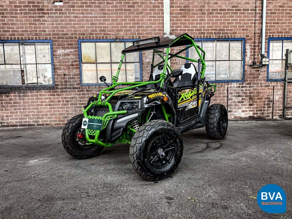 Sheng Wo New Energ FX400 Buggy 20PS 2020, H-108-VZ.