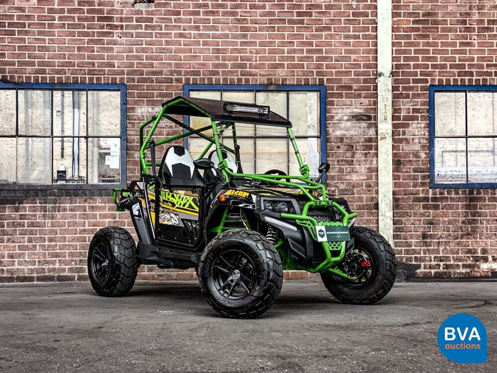 Sheng Wo New Energ FX400 Buggy 20pk 2020, H-108-VZ