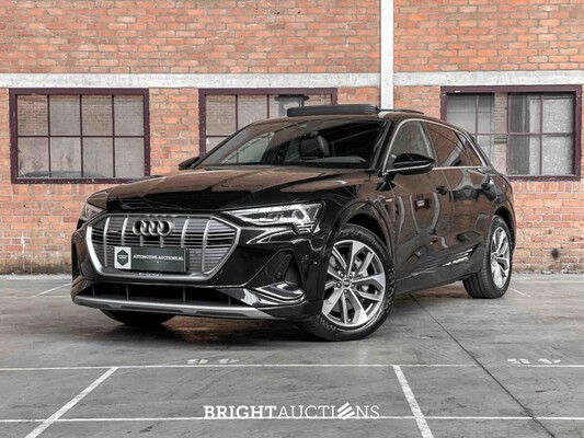EV-car auction te Boxmeer (Audi, Tesla, Volkswagen & Hyundai)