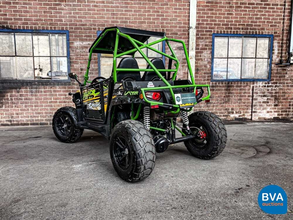 Sheng Wo New Energ FX400 Buggy 20hp 2020, H-108-VZ.