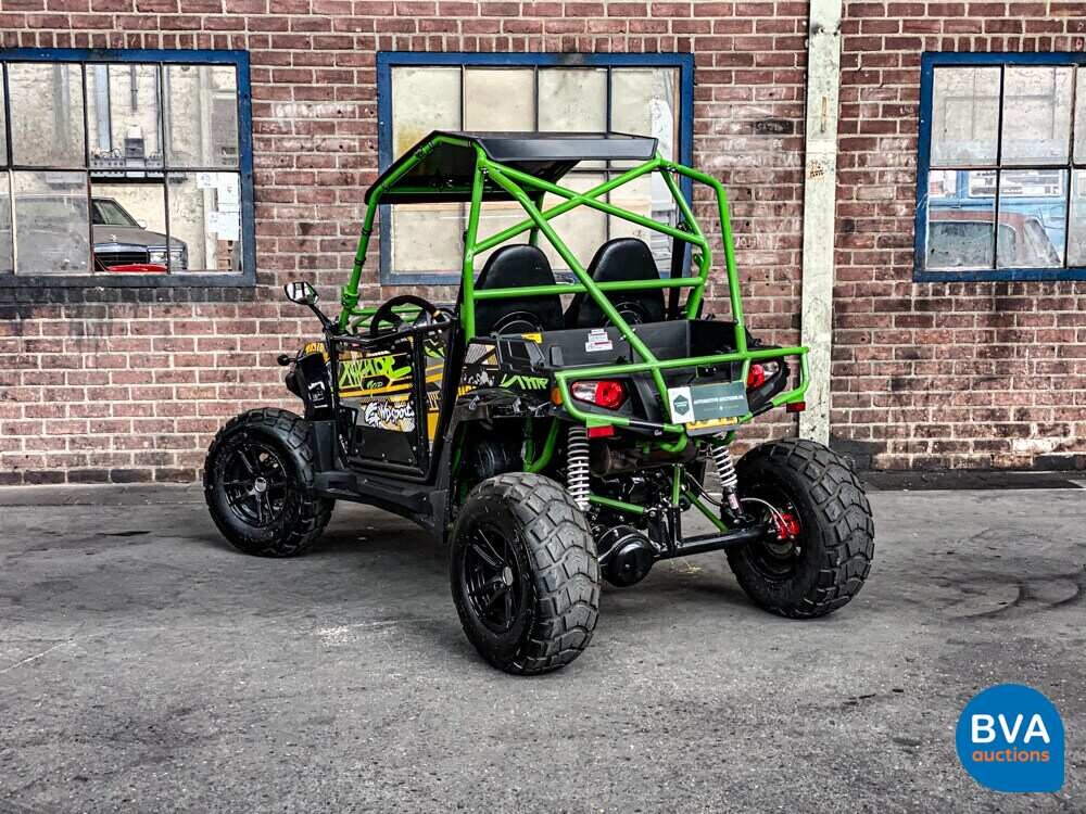 Sheng Wo New Energ FX400 Buggy 20hp 2020, H-108-VZ.