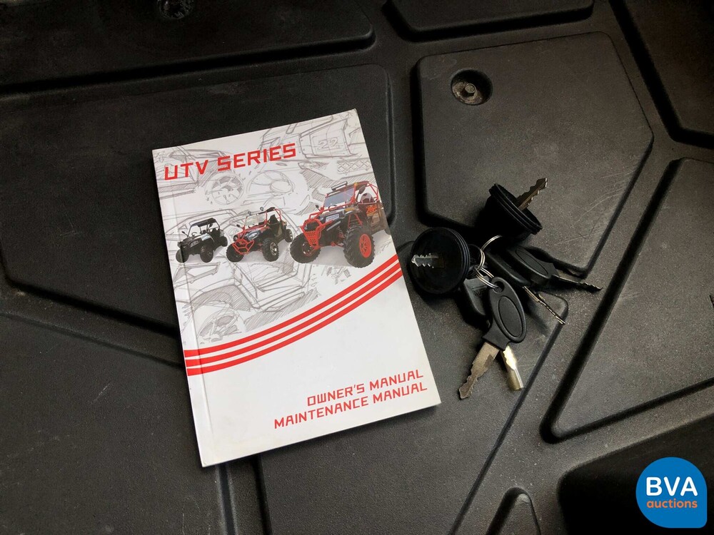 Sheng Wo New Energ FX400 Buggy 20PS 2020, H-108-VZ.