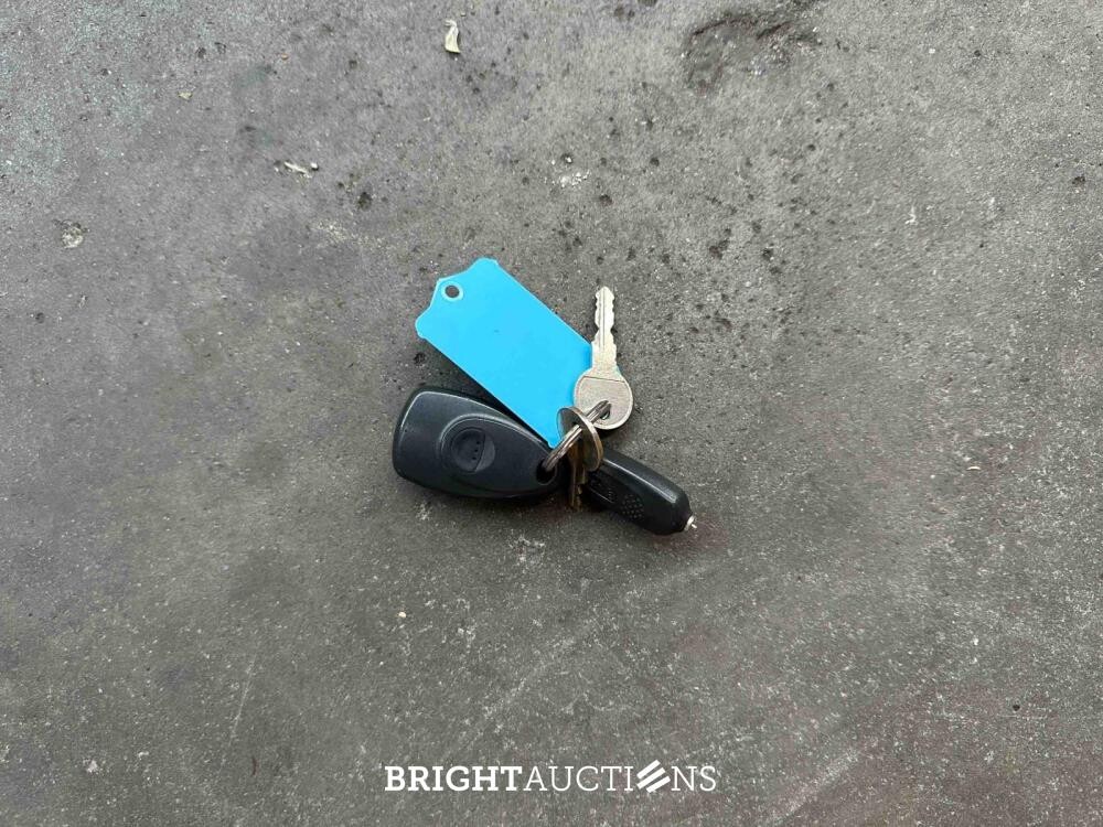 Jeep DJ5 (HERMAN BROOD) Canvas cab. 3.8 DJ Cabriolet 101pk 1976 -ART WORK-
