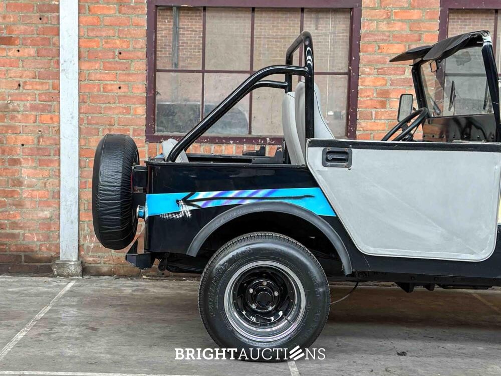 Jeep DJ5 (HERMAN BROOD) Canvas cab. 3.8 DJ Cabriolet 101pk 1976 -ART WORK-
