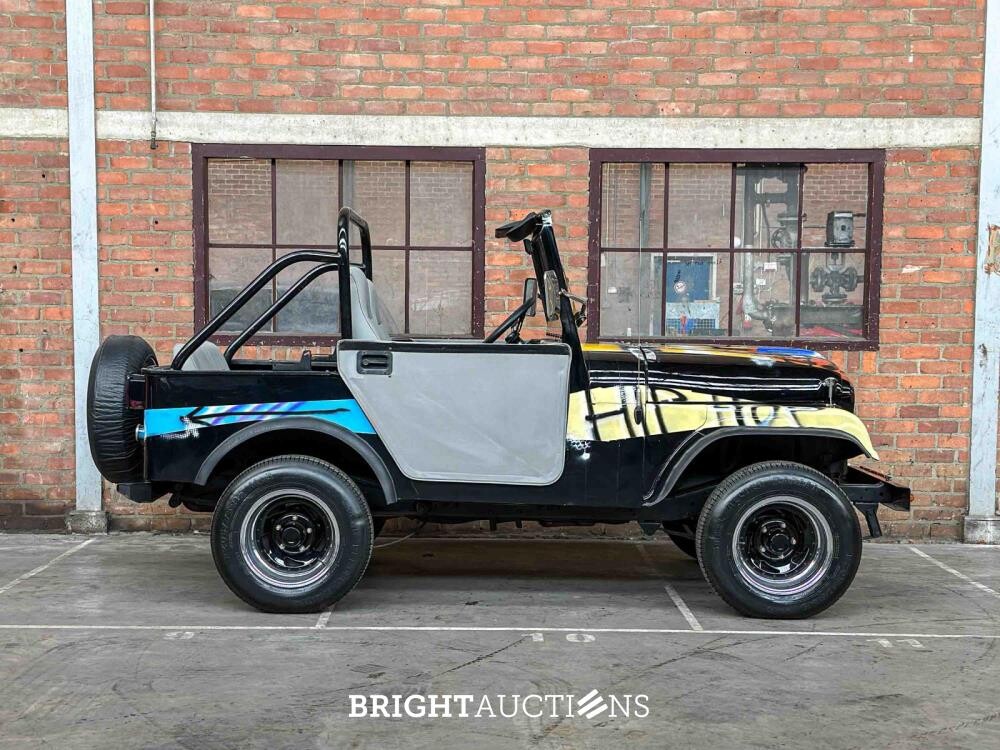 Jeep DJ5 (HERMAN BROOD) Canvas cab. 3.8 DJ Cabriolet 101pk 1976 -ART WORK-
