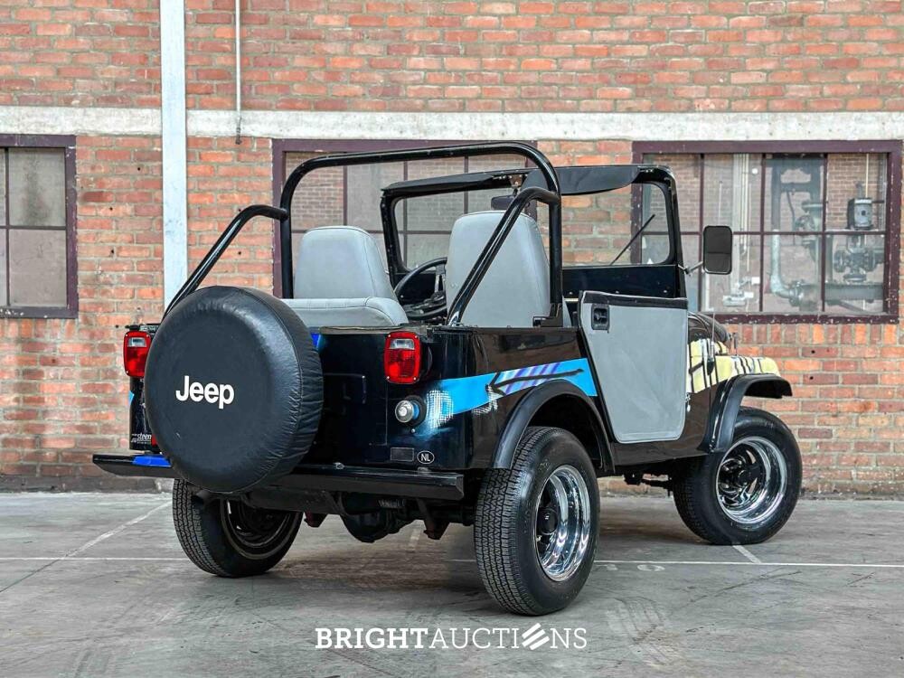 Jeep DJ5 (HERMAN BROOD) Canvas cab. 3.8 DJ Cabriolet 101pk 1976 -ART WORK-
