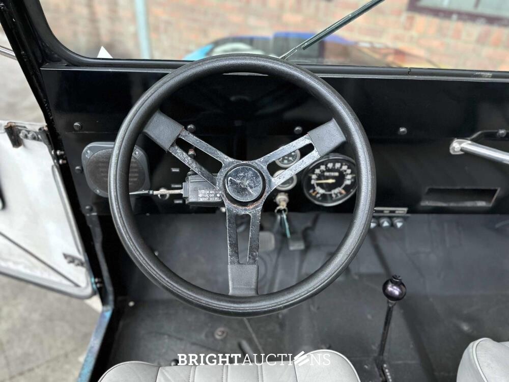 Jeep DJ5 (HERMAN BROOD) Canvas cab. 3.8 DJ Cabriolet 101pk 1976 -ART WORK-
