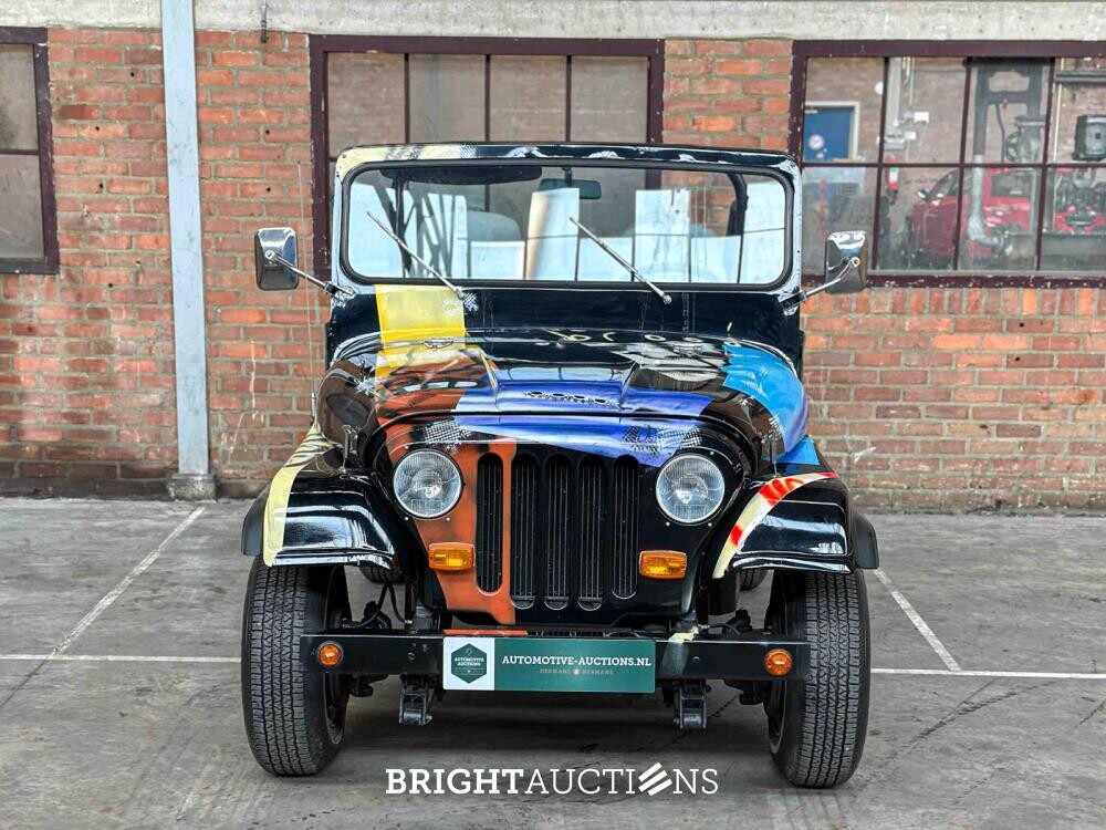 Jeep DJ5 (HERMAN BROOD) Canvas cab. 3.8 DJ Cabriolet 101pk 1976 -ART WORK-
