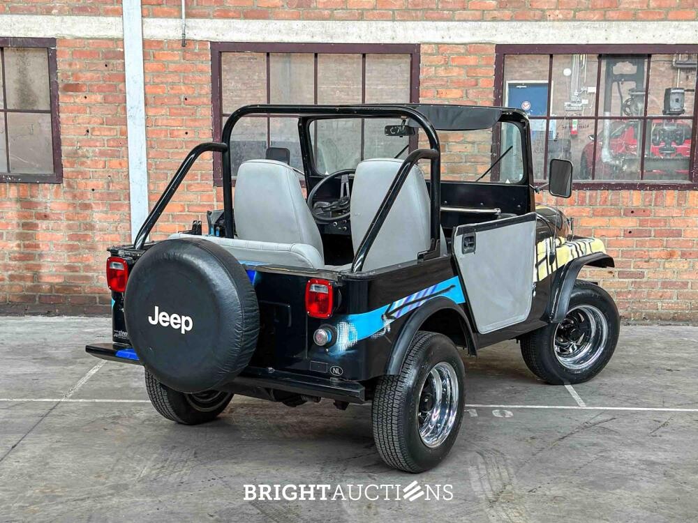 Jeep DJ5 (HERMAN BROOD) Canvas cab. 3.8 DJ Cabriolet 101pk 1976 -ART WORK-
