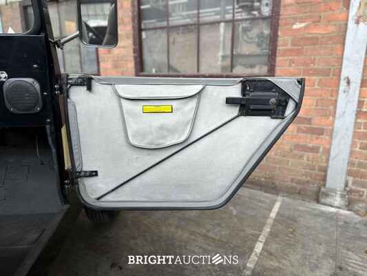 Jeep DJ5 (HERMAN BROOD) Canvas cab. 3.8 DJ Cabriolet 101pk 1976 -ART WORK-