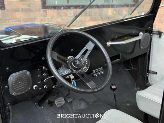 Jeep DJ5 (HERMAN BROOD) Canvas cab. 3.8 DJ Cabriolet 101pk 1976 -ART WORK-