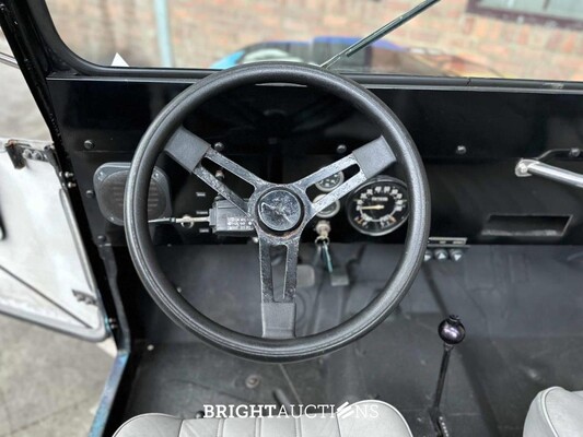 Jeep DJ5 (HERMAN BROOD) Canvas cab. 3.8 DJ Cabriolet 101pk 1976 -ART WORK-