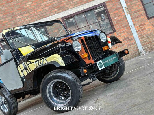 Jeep DJ5 (HERMAN BROOD) Canvas cab. 3.8 DJ Cabriolet 101pk 1976 -ART WORK-