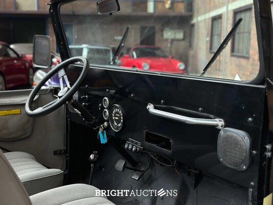 Jeep DJ5 (HERMAN BROOD) Canvas cab. 3.8 DJ Cabriolet 101pk 1976 -ART WORK-