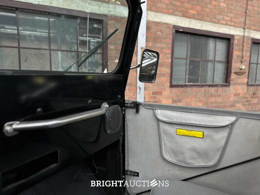 Jeep DJ5 (HERMAN BROOD) Canvas cab. 3.8 DJ Cabriolet 101pk 1976 -ART WORK-