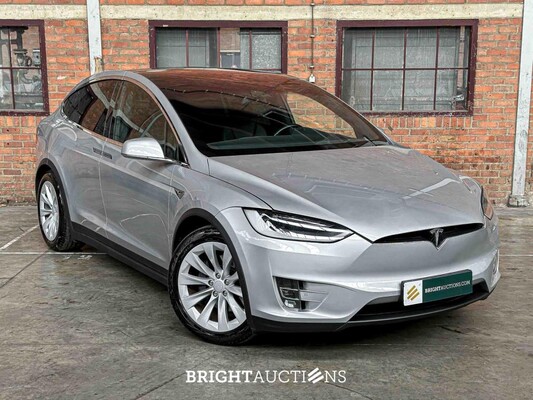 Tesla Model X 100D 417pk 2019, X-464-LS