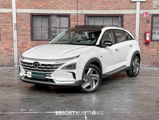 BRIGHT AUCTIONS: EV-car auction te Boxmeer (Mercedes-Benz, Porsche, Tesla, Audi, Hyundai)
