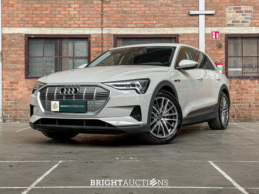 BRIGHT AUCTIONS: EV-car auction te Boxmeer