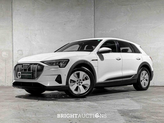 BRIGHT AUCTIONS: Premium Daily Drivers + EV-Cars - Tiel