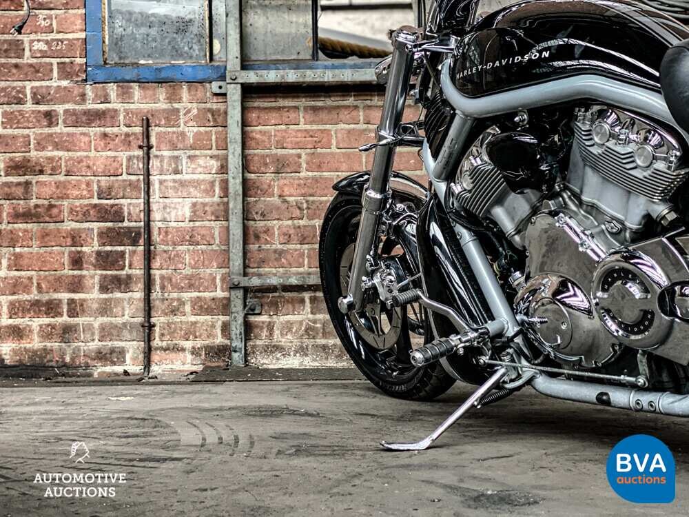 Harley Davidson Chopper VRSCA V-Rod 117hp 2003, MN-GN-37.