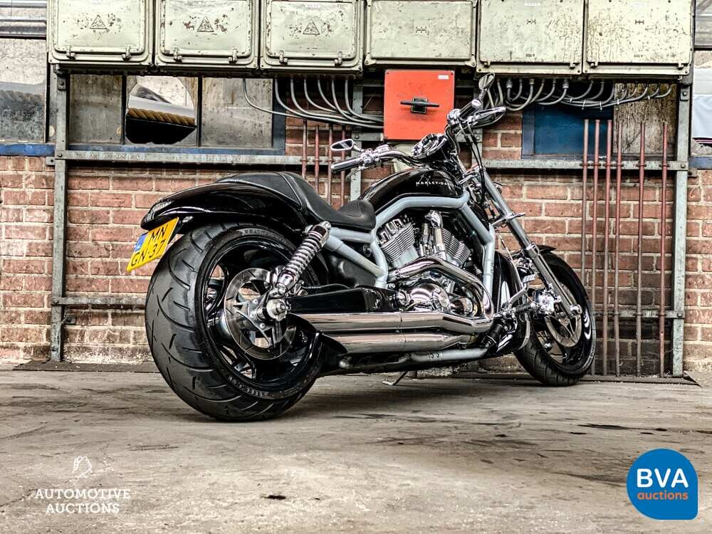 Harley Davidson Chopper VRSCA V-Rod 117hp 2003, MN-GN-37.