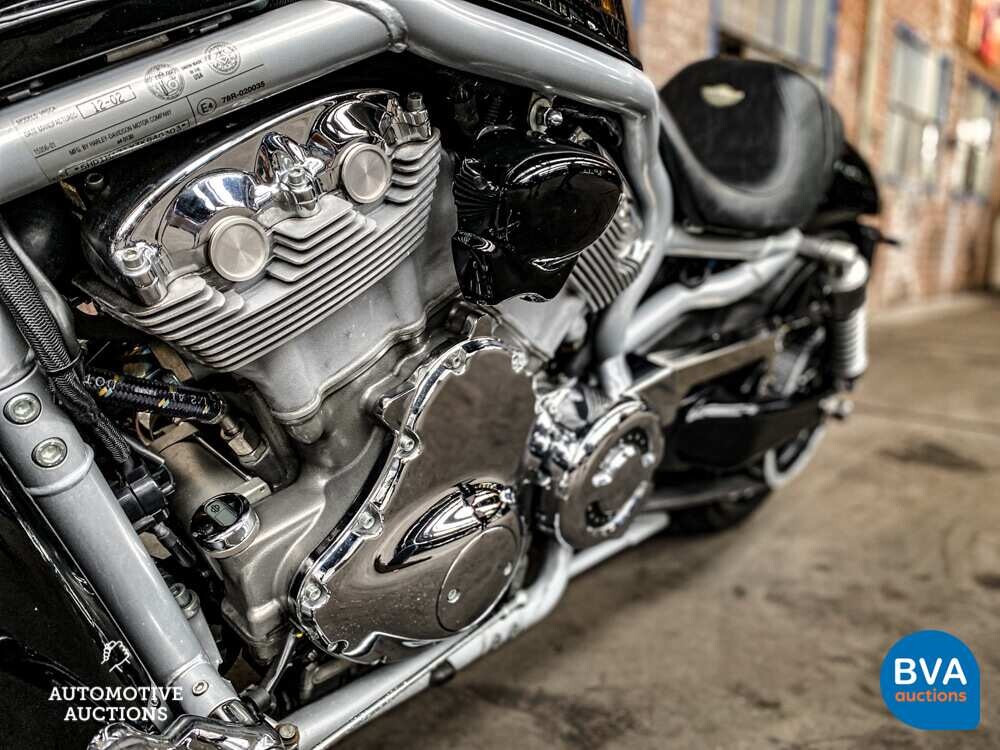 Harley Davidson Chopper VRSCA V-Rod 117hp 2003, MN-GN-37.